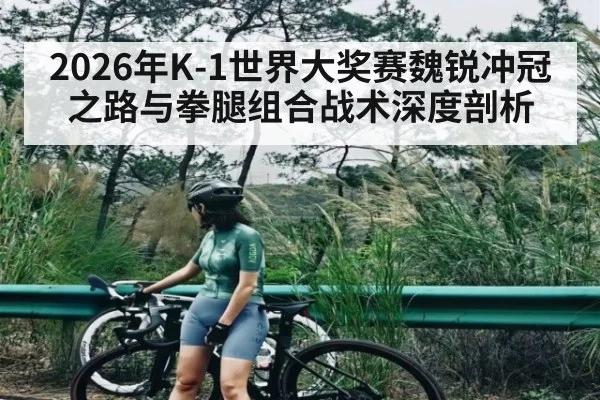 2026年K-1世界大奖赛魏锐冲冠之路与拳腿组合战术深度剖析